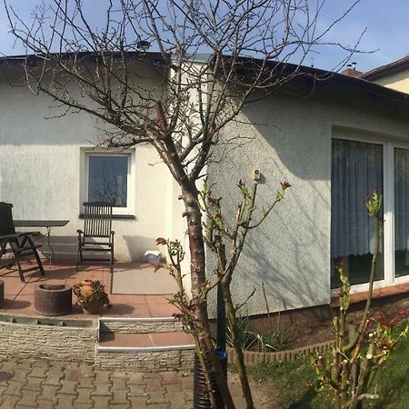 Ferienhaus Auf Usedom Zinnowitz Esterno foto